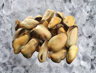 Dondurulmuş Midye Özellikleri ve Faydaları Nelerdir?